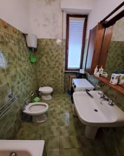 Rinidia - Siena Celso Cittadini Grande - 2