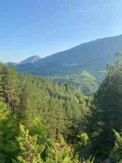 Guest House Laci - Tirana - 2