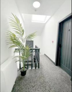 Eleven on Dragon-Room 7 - Harrogate - 4