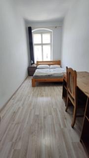 Aparttrans Wroclaw Botanic Garden - 7