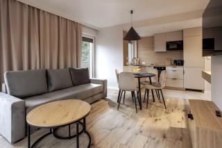 Apartament Premium w sercu Karpacza 10 - Karpacz - 9