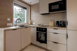 Apartament Premium w sercu Karpacza 10 - Karpacz - 8