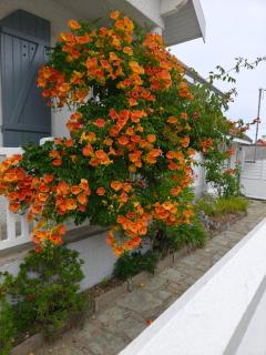 Maison avec jardin à 150 m de la plage - La Plaine-sur-Mer - 7
