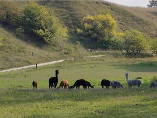 4 person holiday home in Skibby - 2
