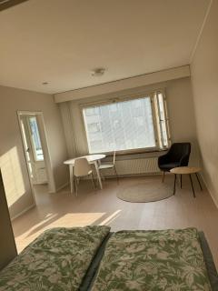 Viihtyisä yksiö keskustassa - Tampere - 4