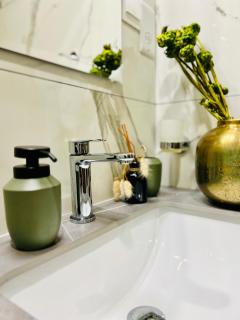 Luxury Suite at Cantonments - 1