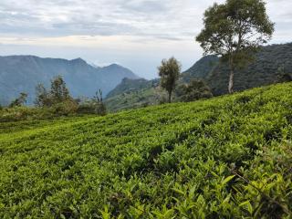 HIGHLAND Hills - Coonoor - 0