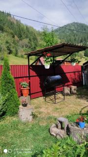 Затишок Карпат - 4