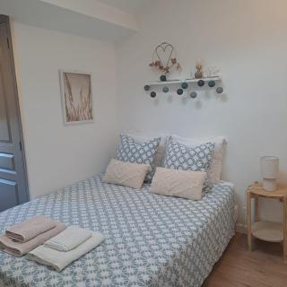 Coeur bleu de Ribérac - hyper centre - 7