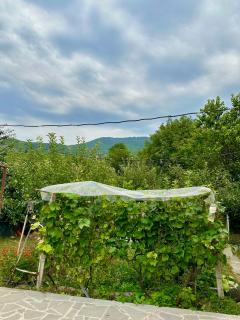 The Secret Garden House - Ijevan - 2