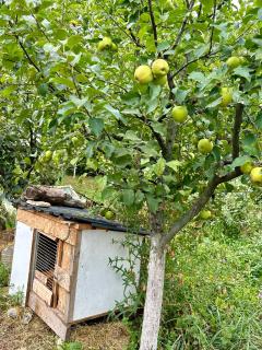 The Secret Garden House - 3