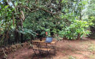 The Linger Farm - Madikeri - 7