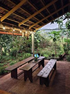 The Linger Farm - 4