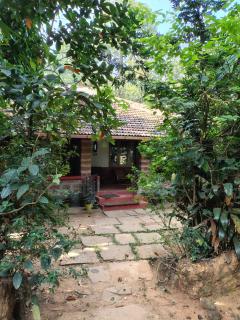 The Linger Farm - Madikeri - 2