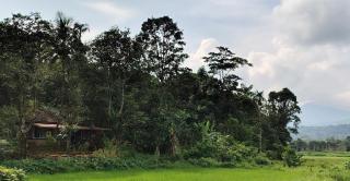 The Linger Farm - 1