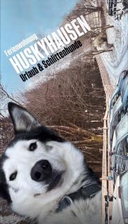 Ferienwohnung Huskyhausen - Schlittenhunde Erlebnisse & Urlaub mitten in der Natur! - 8
