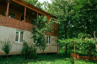 tsereteli's house - 7