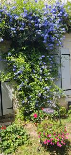 Domaine du lagon bleu - 4
