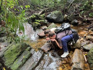 Mist of Sinharaja - 6