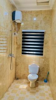 Luxury resident apartment centenary - Okinano - 9