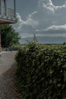 Chateau Artwine - Art'ana - 3