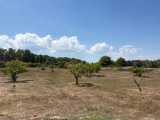 Tenuta Mare Verde - Torre dell'Orso - 7