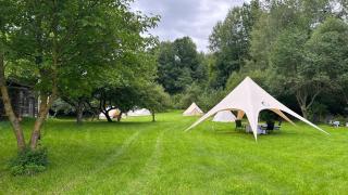 Glamping Hive by Stream - - 8