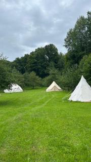Glamping Hive by Stream - - 7