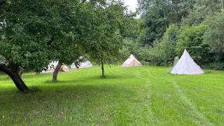 Glamping Hive by Stream - - 6