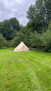 Glamping Hive by Stream - 1