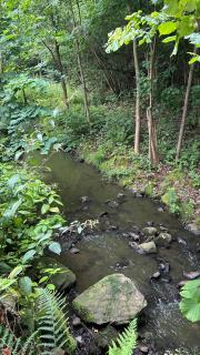 Glamping Hive by Stream - - 4