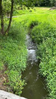 Glamping Hive by Stream - - 3
