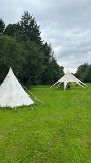 Glamping Hive by Stream - - 2