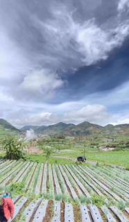 Warm kabin dieng - 6