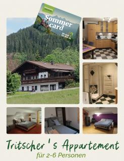 Tritscher's Appartement Ramsau Dachstein - 0