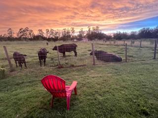 BlockHaven near Legoland, Disney - 9