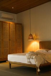 La Belle Hollow Trees - 4