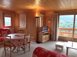 Charmant 2 pièces avec terrasse, 4 pers, Méribel, animaux admis, WIFI, 3* - FR-1-411-379 - 0