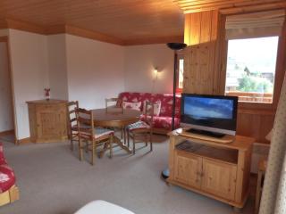 Charmant 2 pièces avec terrasse, 4 pers, Méribel, animaux admis, WIFI, 3* - FR-1-411-379 - 3