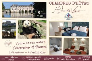 L'Orée des Vignes 41 - Près de Chenonceau et du Zoo de Beauval - 9