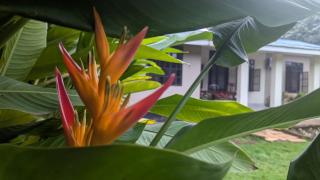 I LOVE AFRICA VILLAs - 8