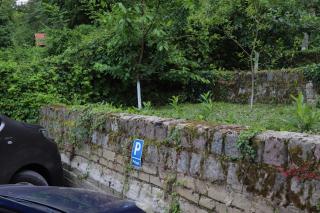 Kuća za odmor vila Ružica - Orahovica - 8