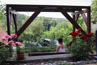 Kuća za odmor vila Ružica - Orahovica - 6