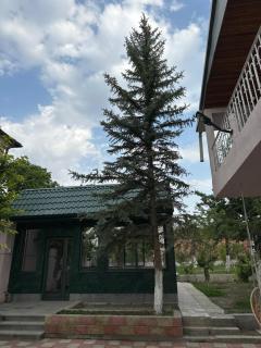 Private house, Own and magnificent villa, Apartments - 7