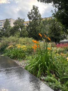 City Nest next to the Palace of Culture - Varsovie - 3