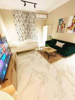 Stylish and luxurious studio-1C - 1