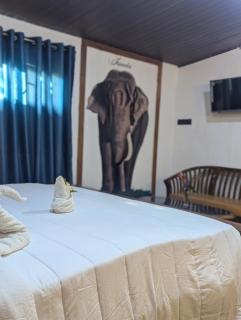 VISU VILLA hotel - Habarana - 6