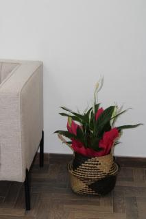Eterea Apartment - 7