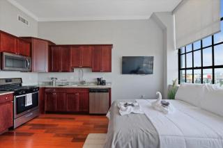 Luxury Studio Near Center City - 3