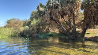 Assuan Felucca - 9
